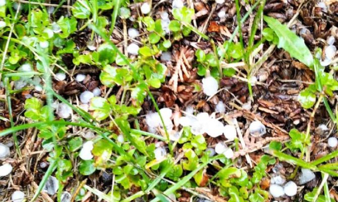 В Тульской области выпадет град размером с грецкий орех