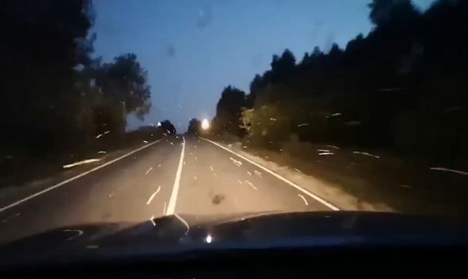 Под Тулой автомобилиста атаковала огромная стая бабочек