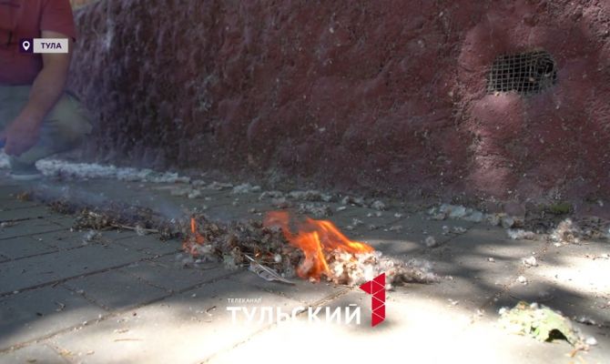 В МЧС предупредили о неожиданных причинах пожара в сильную жару