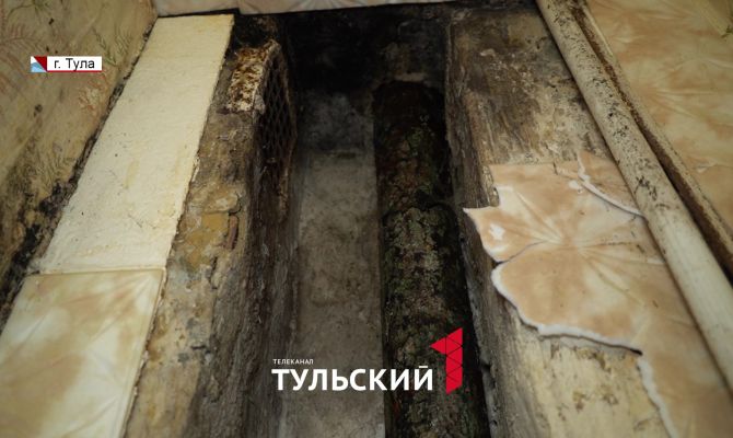 В Туле следователи начали проверку по факту выросших грибов в подвале многоэтажки