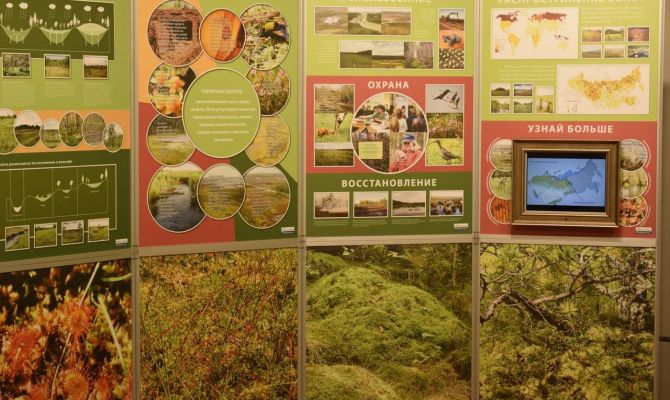 Туляков приглашают на выставку "Болото - мир особый"