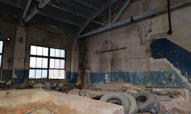 В Новомосковске появится муниципальный приют для бездомных животных