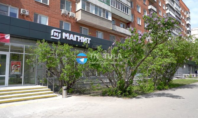 В центре Тулы изуродовали цветущую сирень