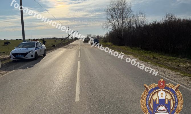 Под Тулой автомобиль съехал в кювет и врезался в опору линии электропередач
