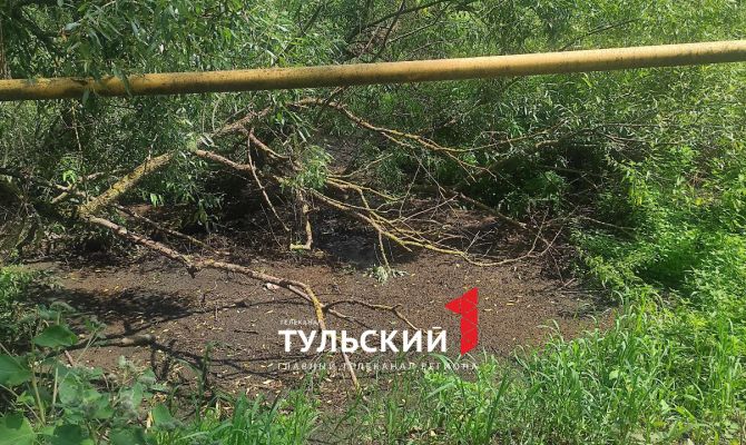 Жителей села под Новомосковском заливает навозный поток