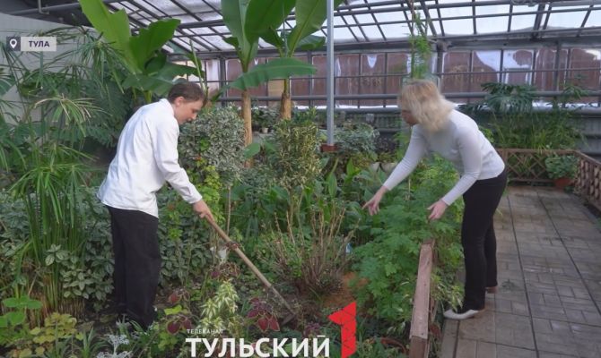 Единственная школьная оранжерея Тулы стала учебной лабораторией