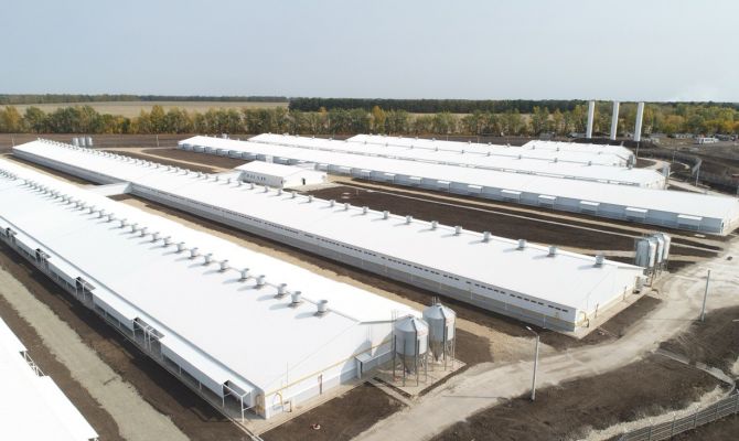 В Тульской области открыли новый свиноводческий комплекс "Степной"