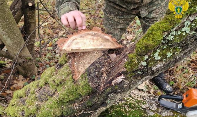 Керемет кеудесі бар аққұбаның онлайн порно видеосы