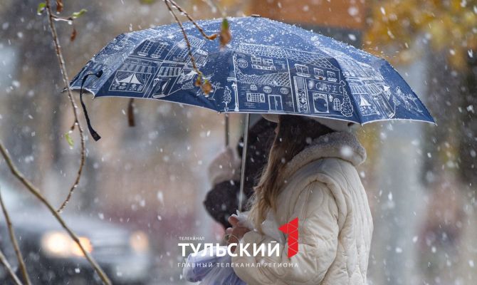 Стало известно, сколько снега выпало в Туле в понедельник