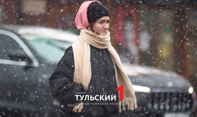 В ночь на 3 марта в Туле выпадет снег