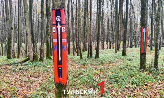 Туляков напугали странные изображения в лесу у поселка Хомяково