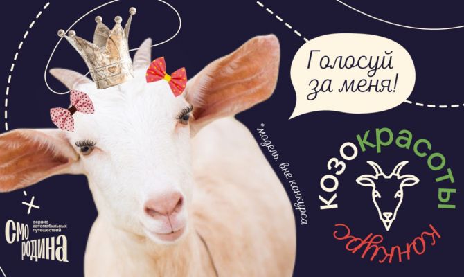 Коза из Тульской области стала участницей конкурса красоты