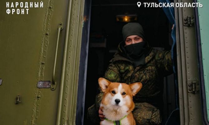 Пес Бафик стал верным другом военного в Тульской области