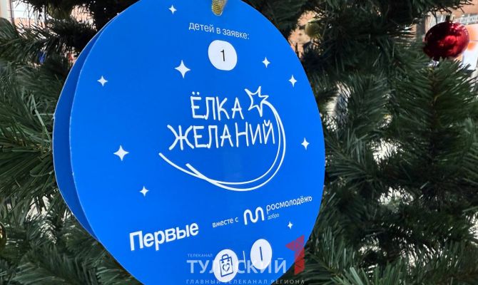 Туляки могут принять участие в Всероссийской акции «Ёлка желаний»