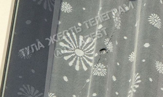 В тульском поселке Барсуки неизвестный открыл стрельбу по детскому саду и припаркованным машинам