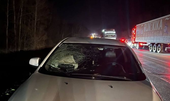 В Туле осудили армянина за смертельное ДТП на трассе М-2 "Крым"