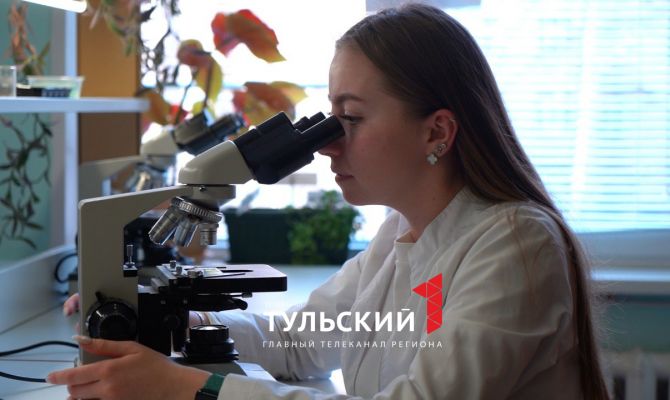 Тульские ученые предложили свой способ борьбы с глобальным потеплением