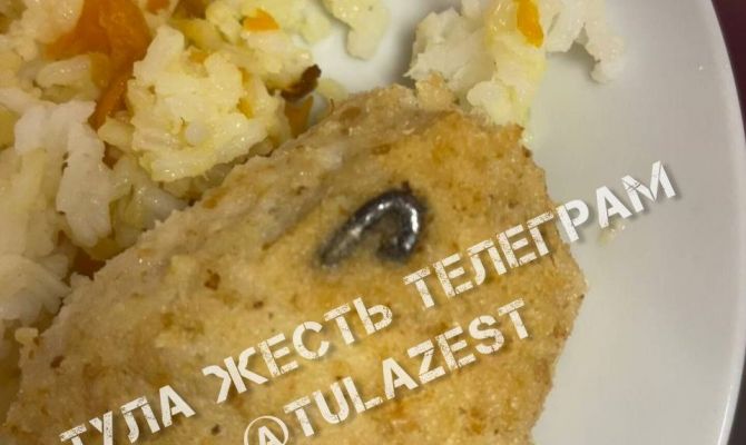 Тульские школьники нашли металлический крючок в котлете: в Центре образования проведут проверку