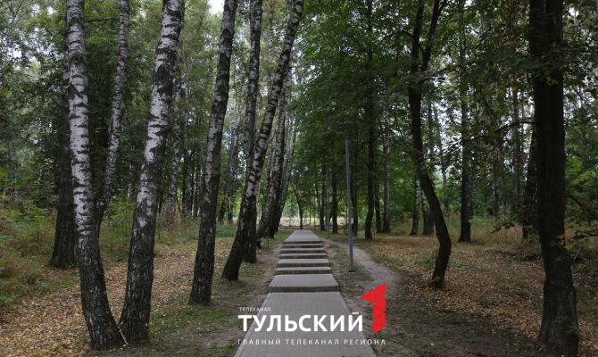 Как будет выглядеть Рогожинский парк в Туле после благоустройства