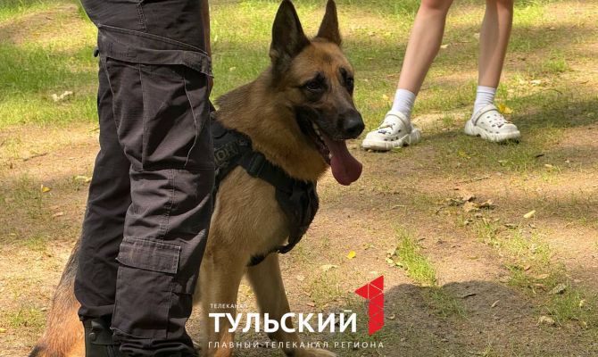 Сотрудники Росгвардии познакомили юных туляков со служебной собакой и роботом-сапером
