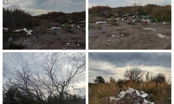 В Плавском районе найдена незаконная свалка бытовых отходов
