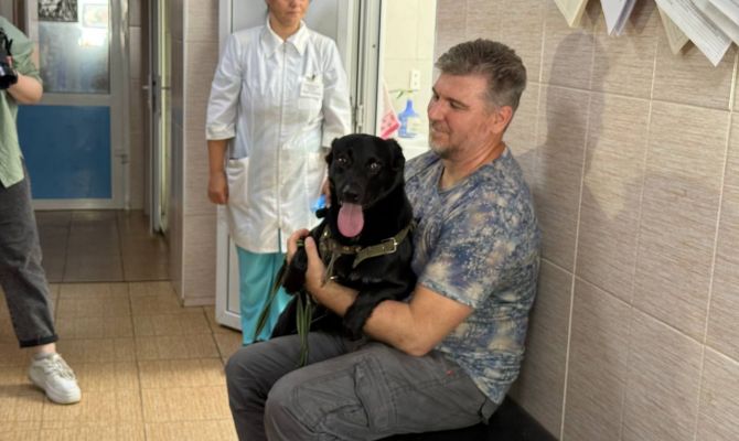 Где тулякам бесплатно чипировать домашнего питомца