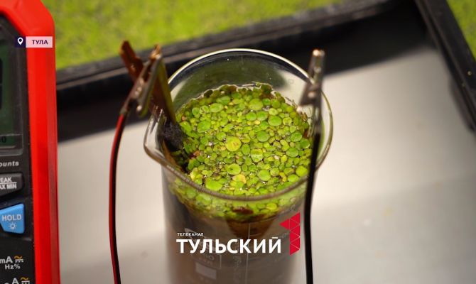 Тульские ученые изобрели дешевые "зеленые" батарейки