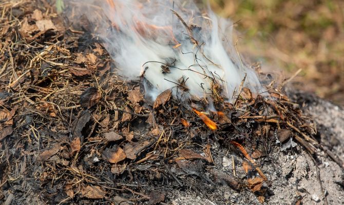 В Тульской области начались палы травы: какой ущерб уже нанесли поджигатели