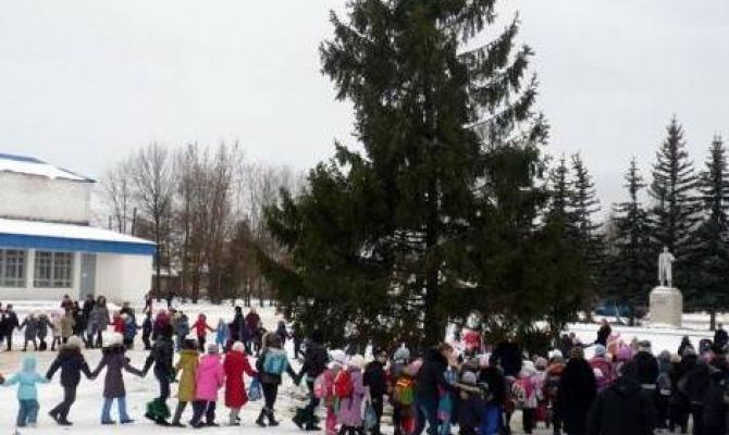 Жителей Заокского Тульской области приглашают на Новогодние и Рождественские елки