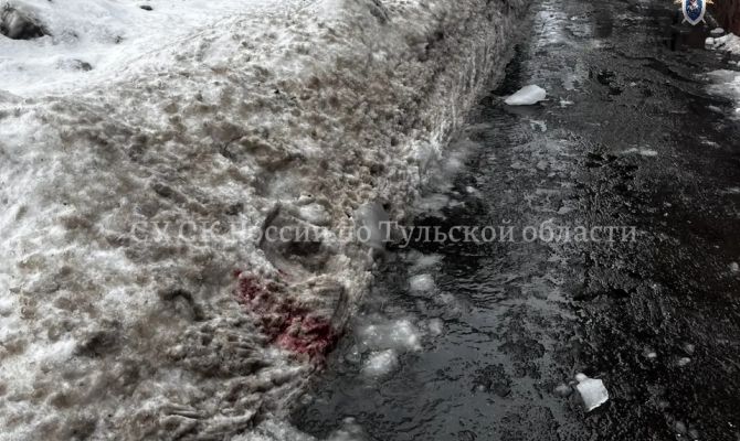 Глава СК Бастрыкин взял на контроль дело о падении наледи на подростка в Туле