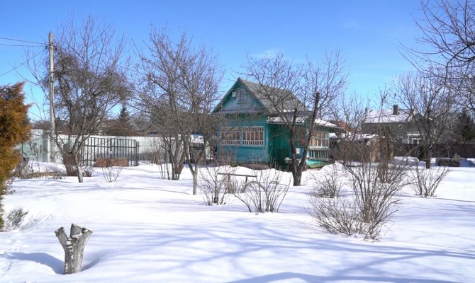 Новые штрафы для дачников: какие правила вступили в силу с 1 марта