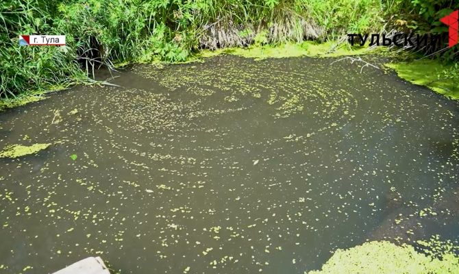 Жители поселка Скуратово в летнюю жару страдают от запаха нечистот из неисправной канализации
