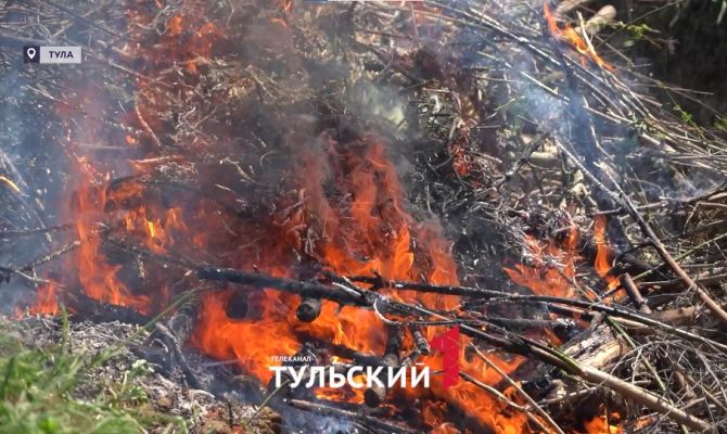 На Калужском шоссе в Туле поймали поджигателя травы