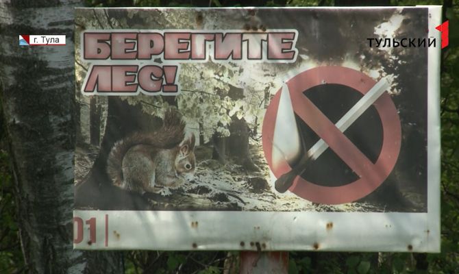 В Тульской области за лесными пожарами следят из космоса