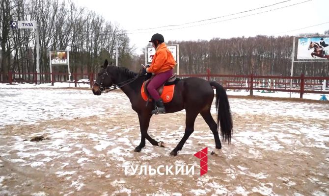 На ипподроме Центрального парка в Туле появилась новая звезда