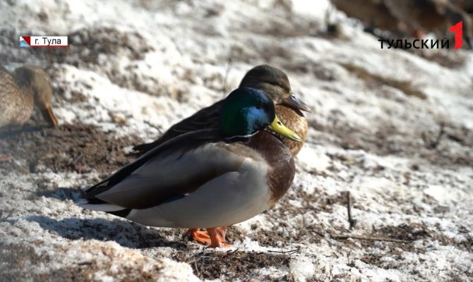 «Весенняя зима»: синоптики дали прогноз на март