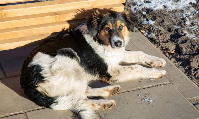 3 марта в Туле будет до 5 градусов тепла