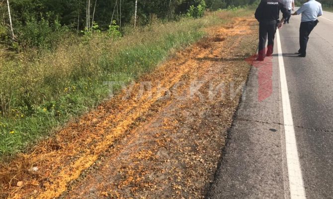Под Тулой произошел разлив химикатов