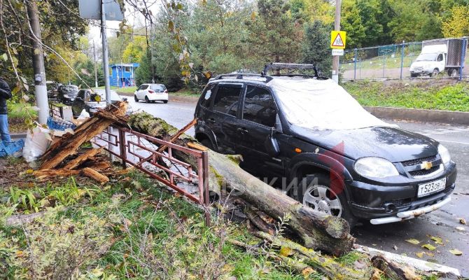 В Туле сильный ветер повалил дерево прямо на автомобиль