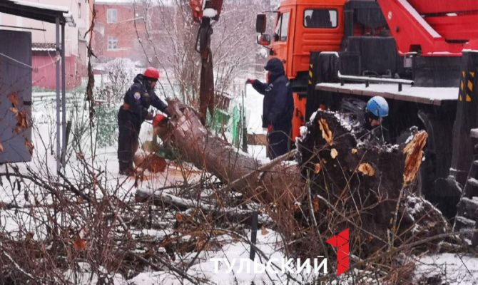 В Туле на крышу двухэтажного дома от сильных порывов ветра упало дерево