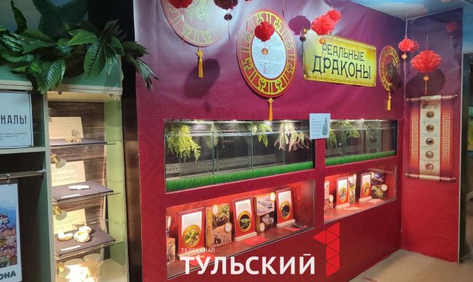 Туляков приглашают на выставку "Реальных драконов"