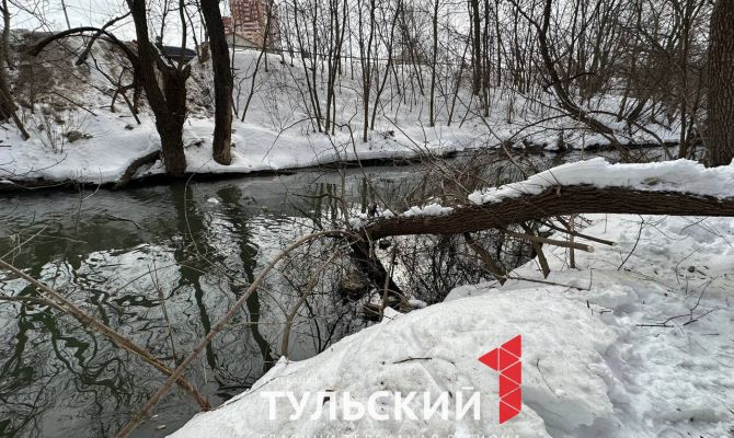 Сколько домов в Туле может затопить во время паводка