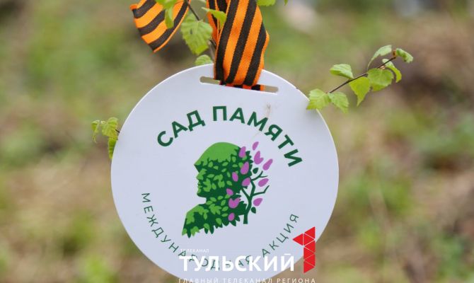 В Ясной Поляне высадили 250 берез в память о погибших в Великой Отечественной войне