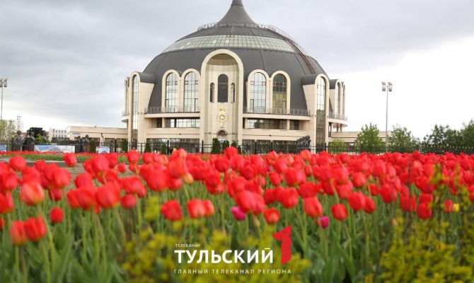 В Туле на две недели раньше срока расцвели тюльпаны: фоторепортаж