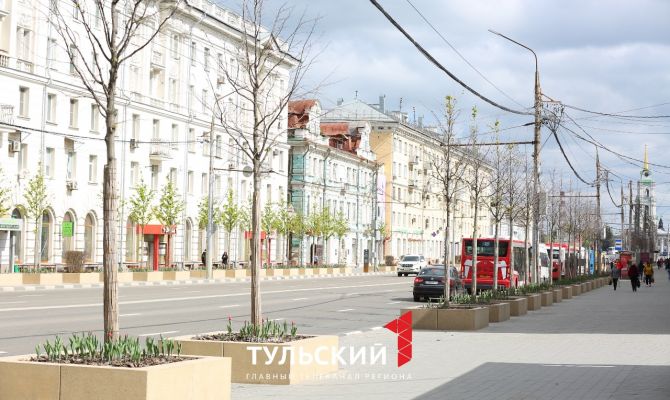 В администрации Тулы объяснили, почему на проспекте Ленина не распустились некоторые деревья