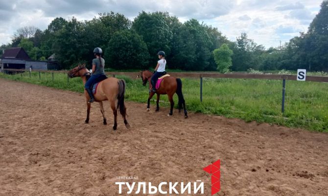 В Центральном парке Тулы пройдут соревнования по конкуру