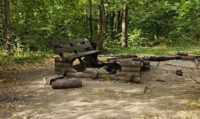 В тульском поселке Косая Гора загорелась "Малиновая засека"