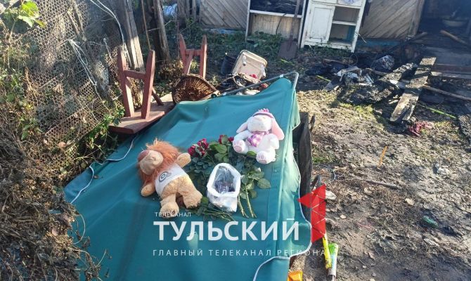 На месте гибели 3 детей в деревне Демидовка возник стихийный мемориал