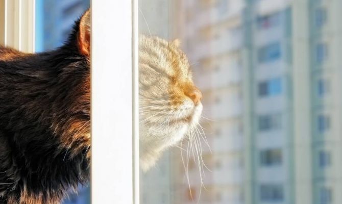 Синоптики: за слишком теплой зимой в Россию придет аномальный март