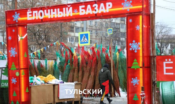 Как сохранить новогоднюю елку свежей надолго